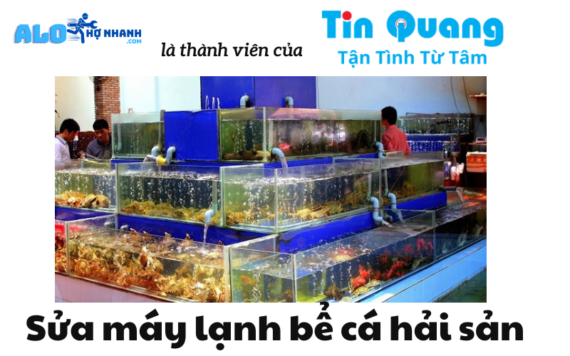 Dich-vu-sua-chua-may-lanh-be-ca-hai-san