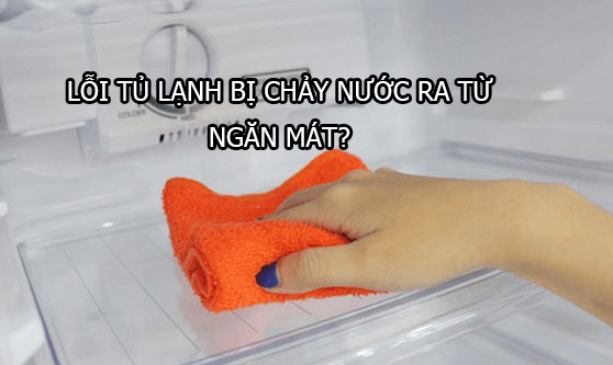 Khay nước tủ lạnh bị rạn nứt