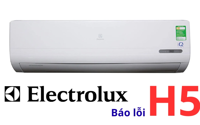 loi-H5-may-lanh-electrolux