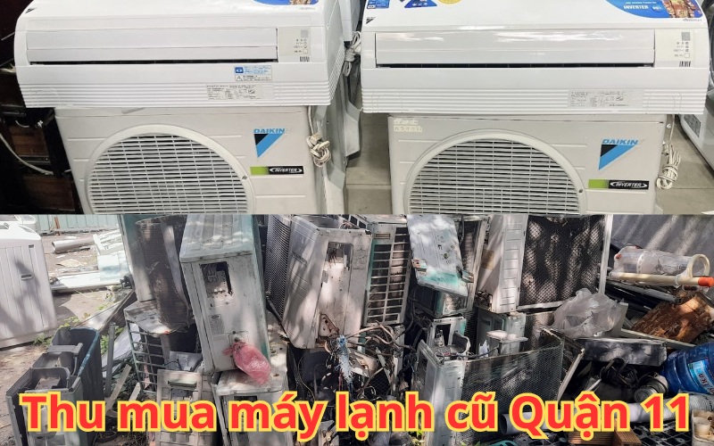 thu-mua-may-lanh-cu-quan-11